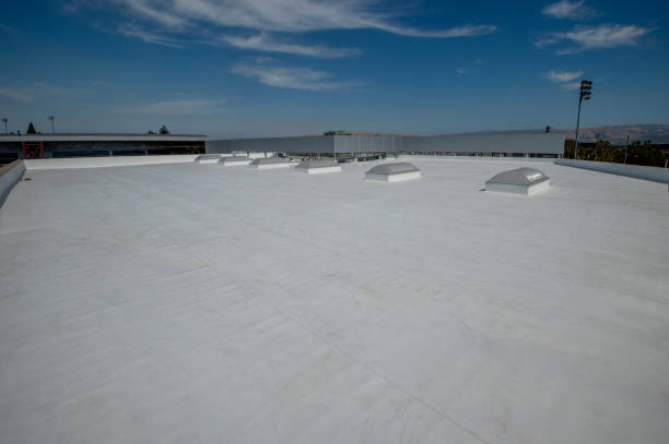 Best Roof Leak Repair  in South Cleveland, TN