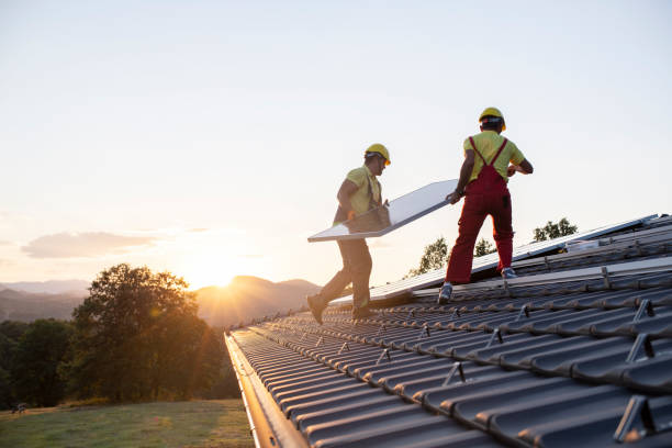Best Roof Moss and Algae Removal  in South Cleveland, TN