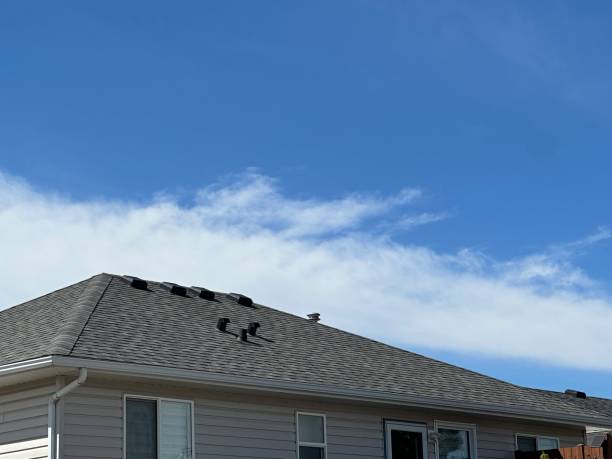 Best Steel Roofing  in South Cleveland, TN